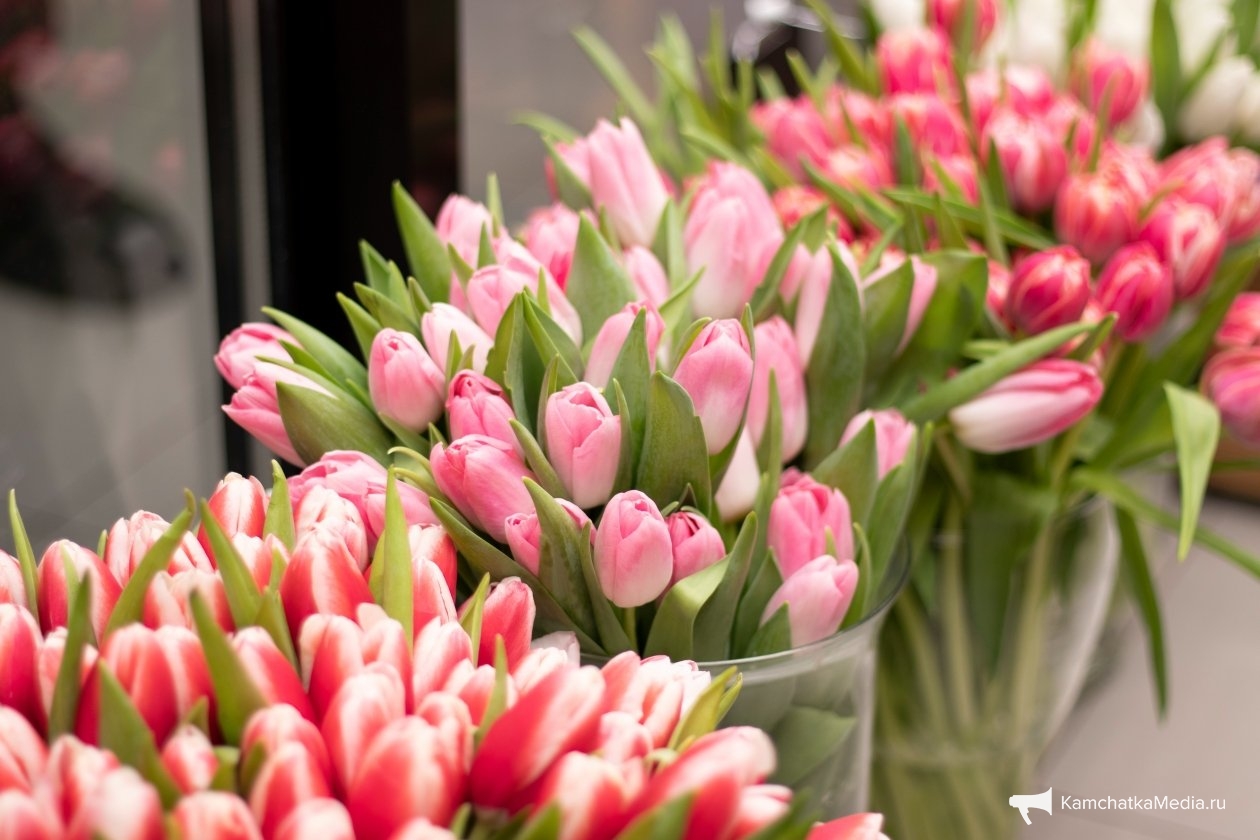 Ирина Васильева, ИА KamchatkaMedia