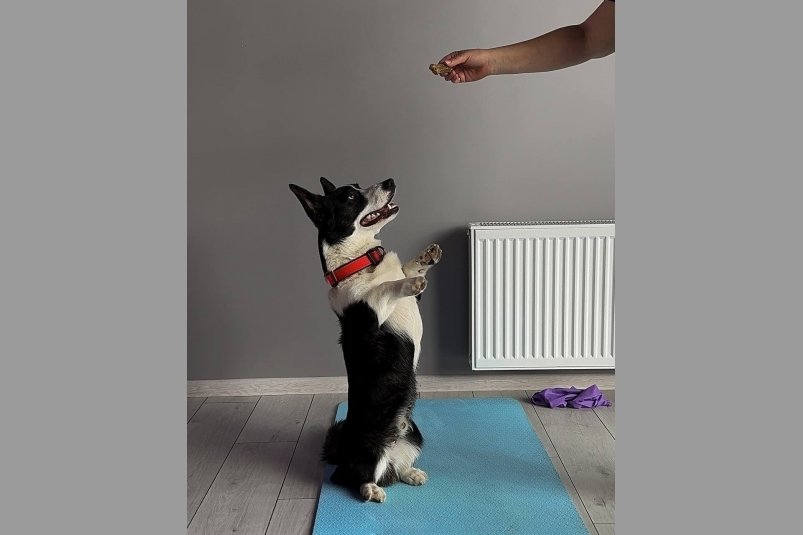 Организаторы мероприятия