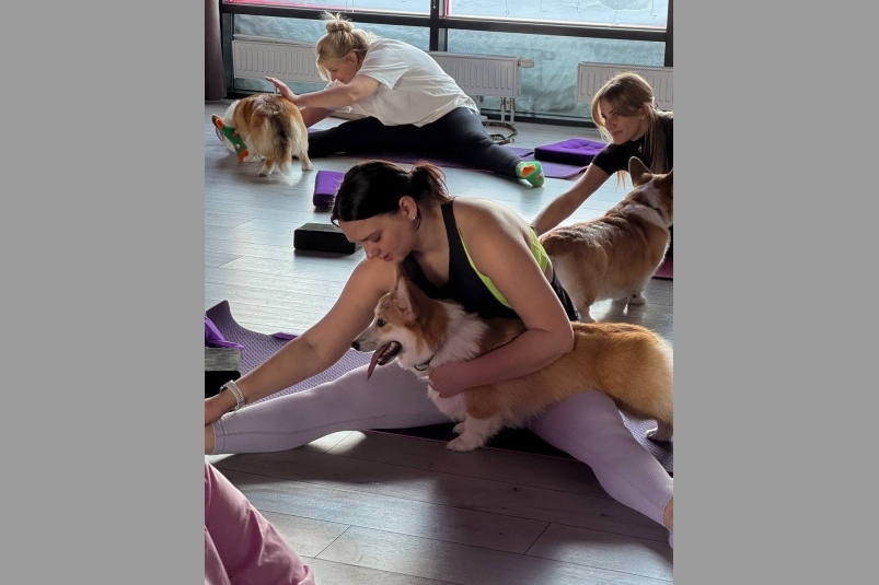 Организаторы мероприятия