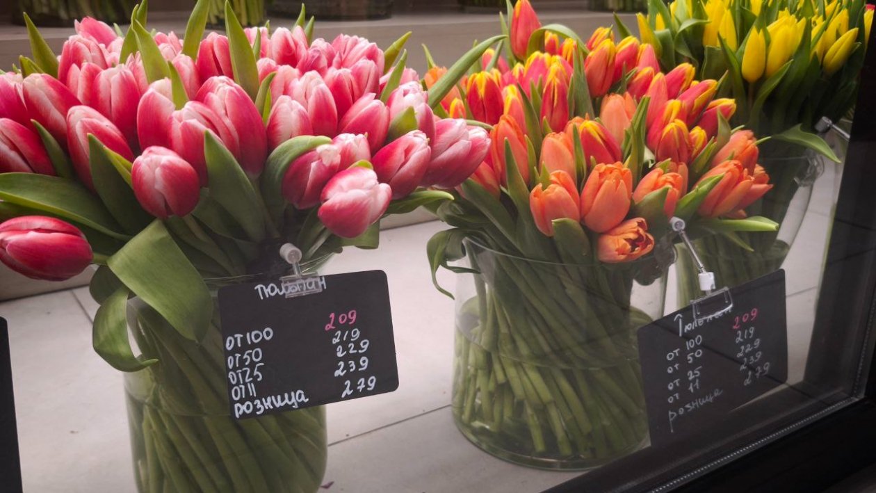 Ирина Васильева, ИА KamchatkaMedia