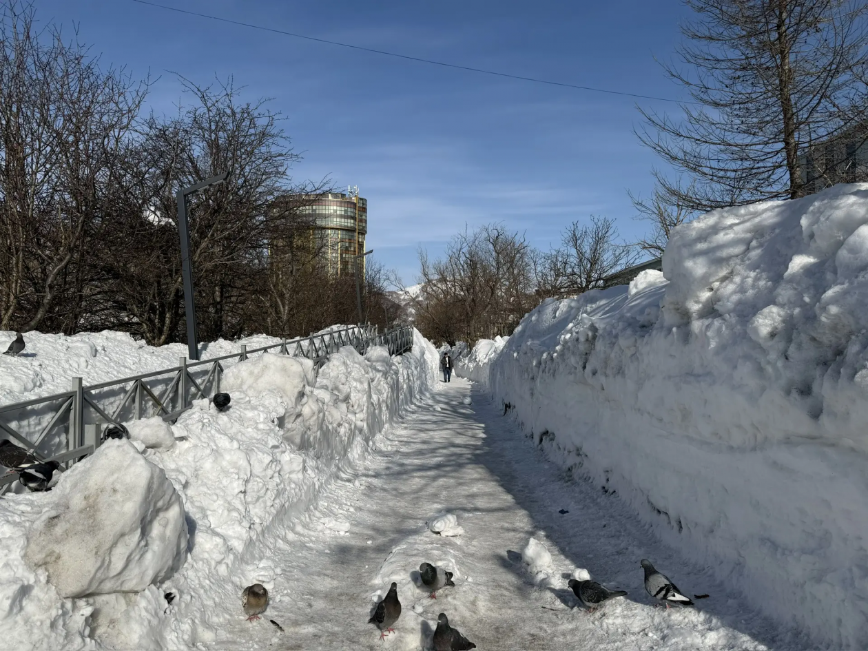 Петропавловск-Камчатский, зима 2026 ИА KamchatkaMedia