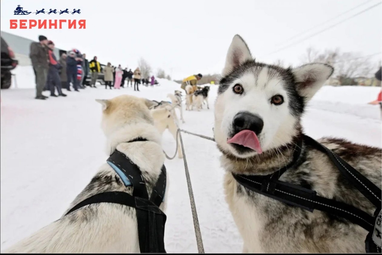 Оргкомитет гонки