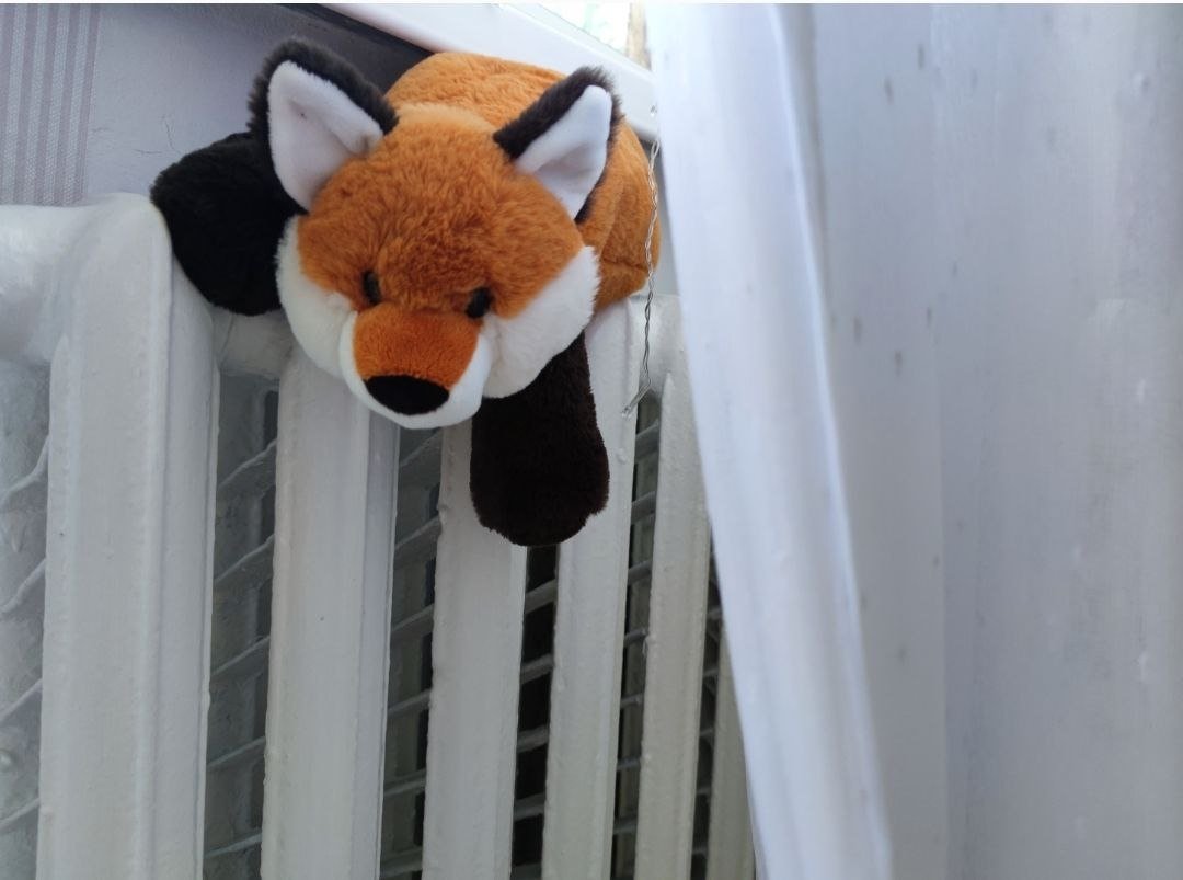 Батарея Елена Гиневская, ИА Stavropol.Media