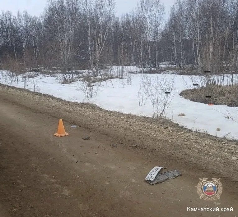 Кадры с места ДТП Госавтоинспекция по Камчатскому краю