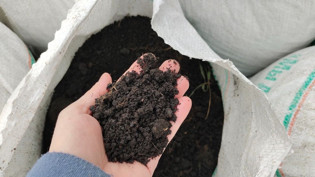 Тематическое фото Автора