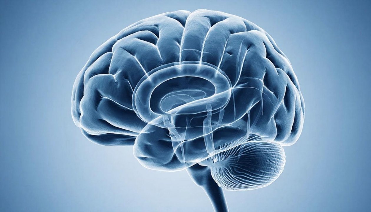 Тематическое фото Создано при помощи ИИ