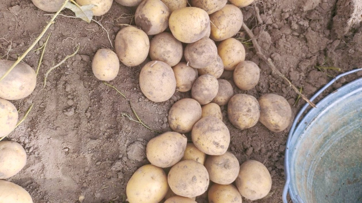 Тематическое фото Автора