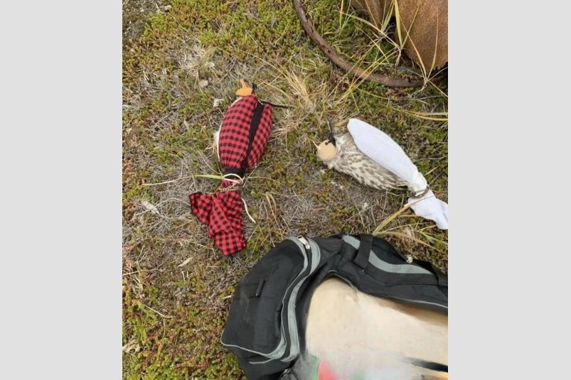 Прокуратура Камчатского края