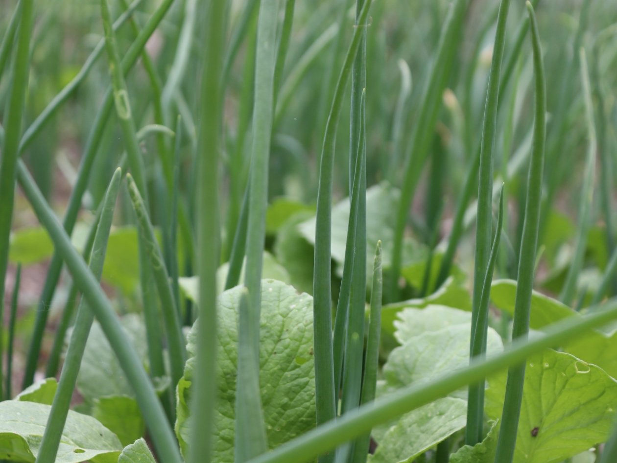 Тематическое фото Анна Маринец, ИА UssurMedia.ru