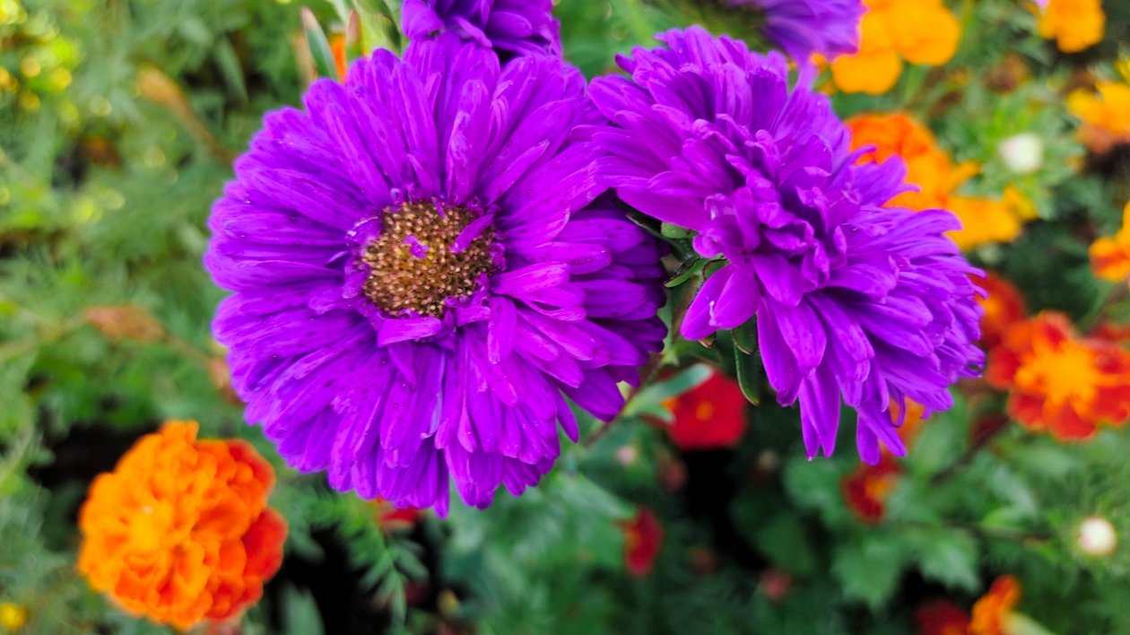 Тематическое фото Автора