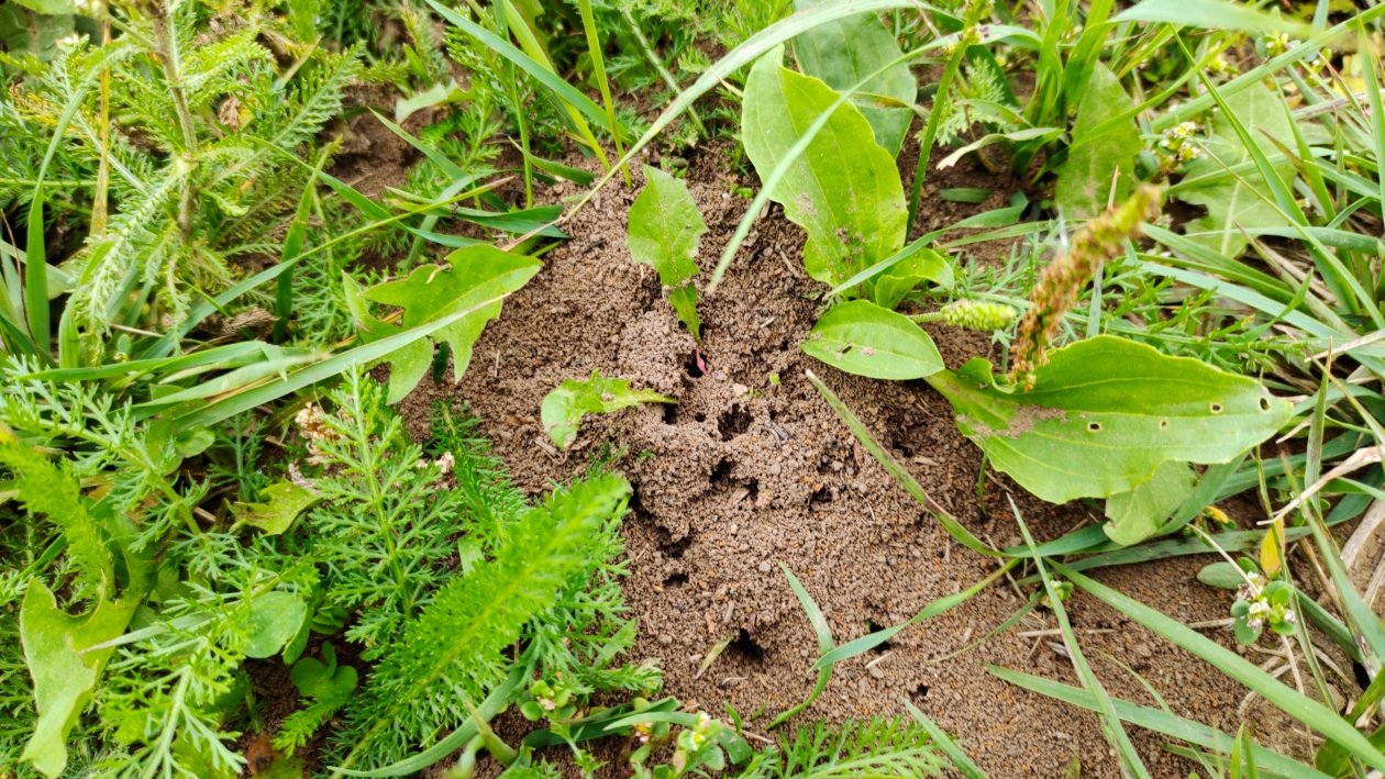 Тематическое фото Автора