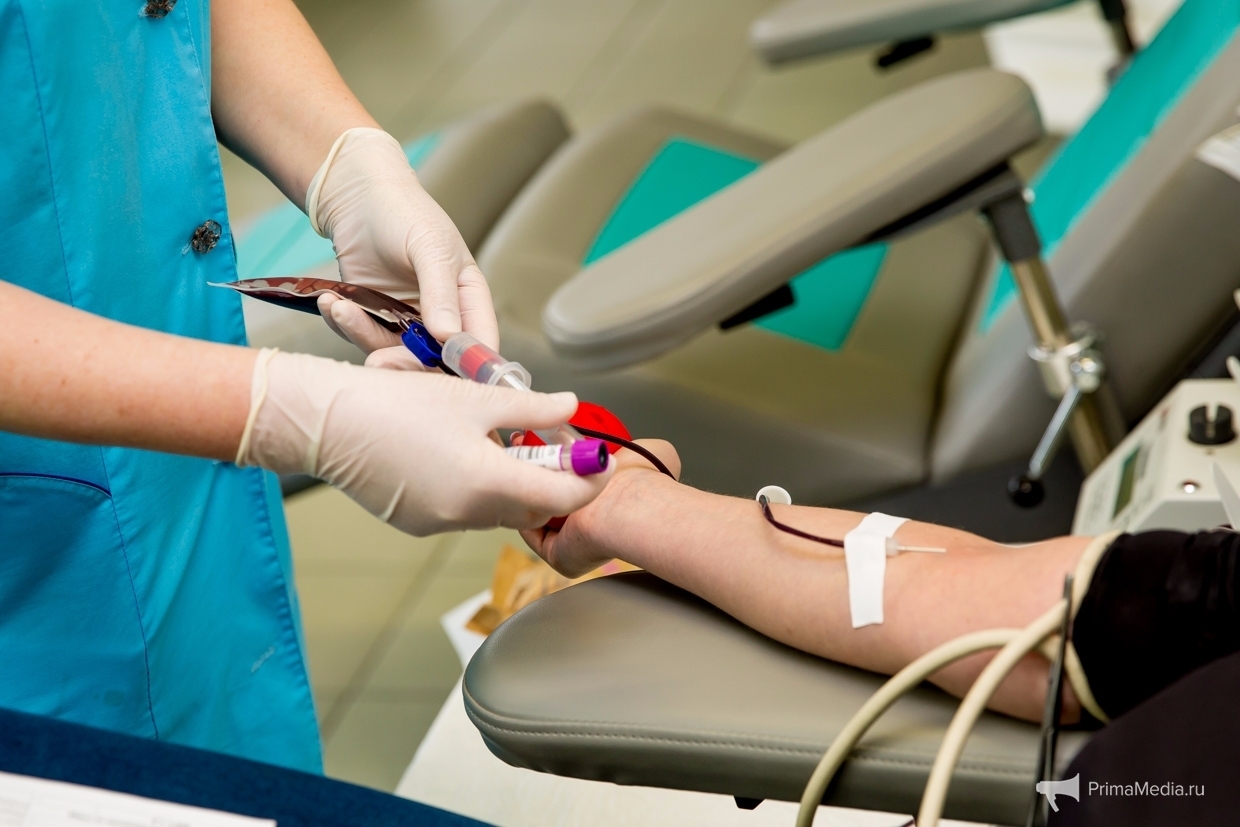 Доноры ИА PrimaMedia