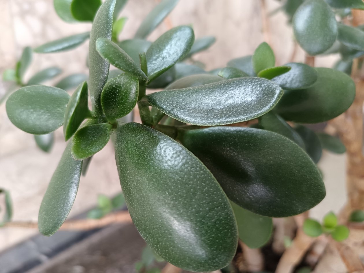 Тематическое фото ИА SevastopolMedia.ru