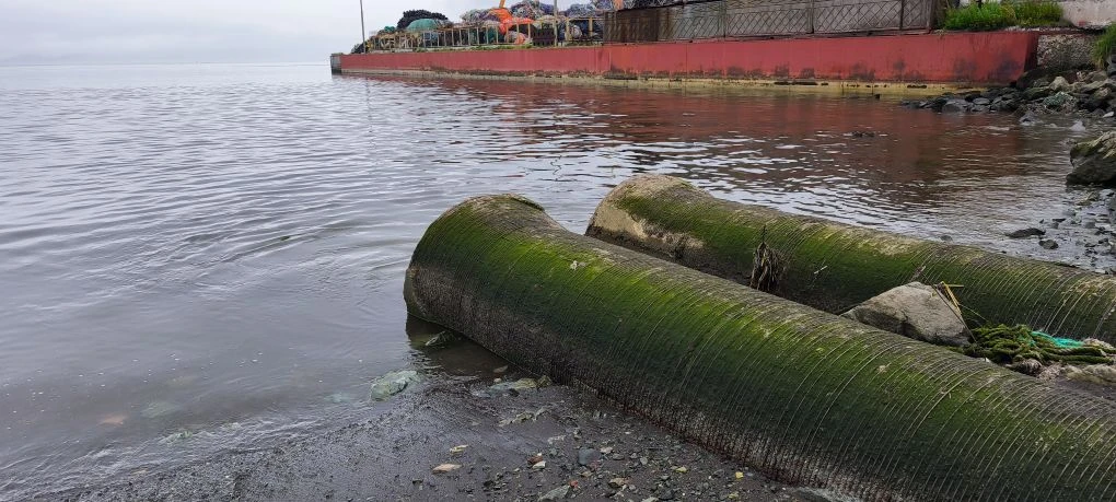 Слив загрязненных вод в водоём ИА KamchatkaMedia