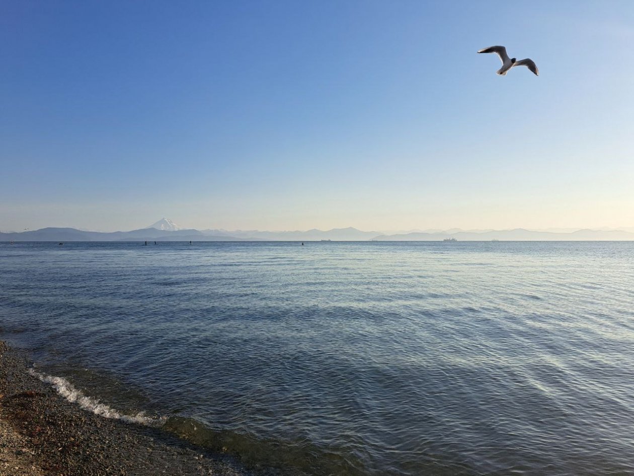 Камчатская весна ИА KamchatkaMedia
