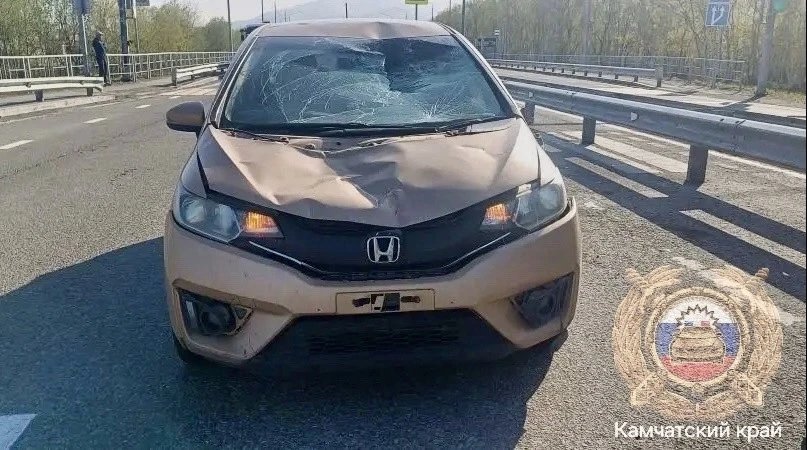 Фото с места событий УГИБДД УМВД России по Камчатскому краю