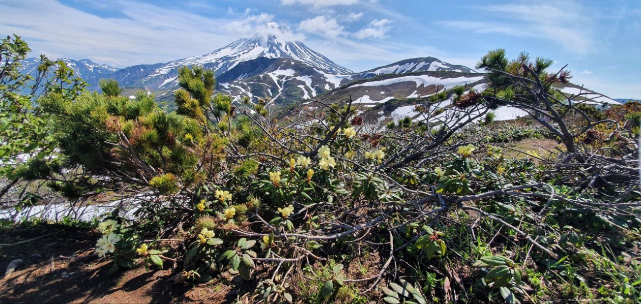 Вилючинский перевал Анастасия Табачинская, ИА KamchatkaMedia