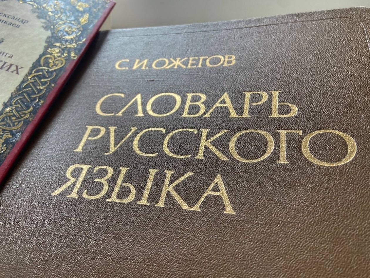 Тематическое фото ИА KrasnodarMedia (18+)
