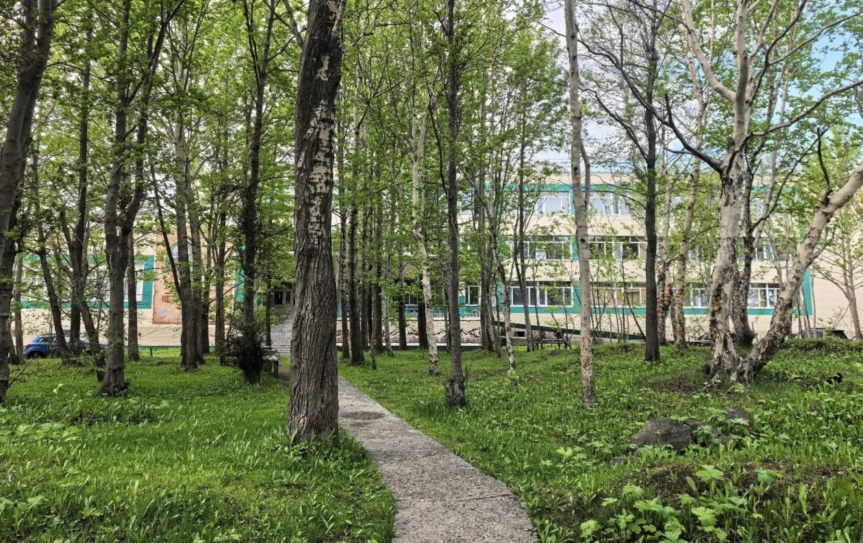 Сквер у краевой библиотеки Пресс-служба ПКГО