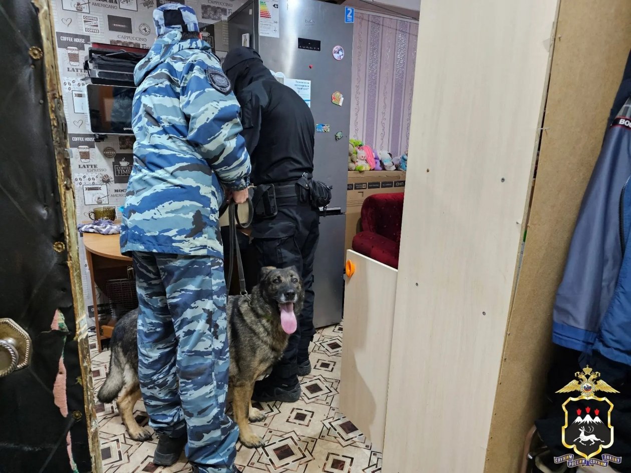 Пьяный житель Камчатки угрожал взорвать гранату в многоэтажке