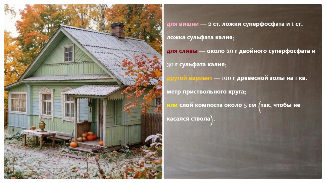 Подкормки