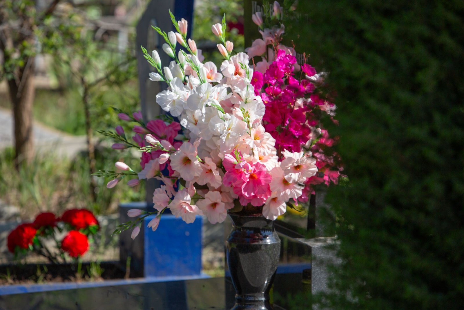 Родительский день Артём Хорошилов  , ИА Stavropol.Media