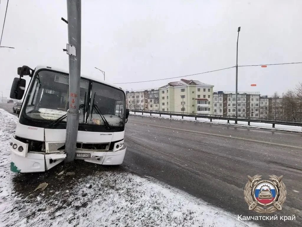 Кадры с места ДТП Госавтоинспекция по Камчатскому краю