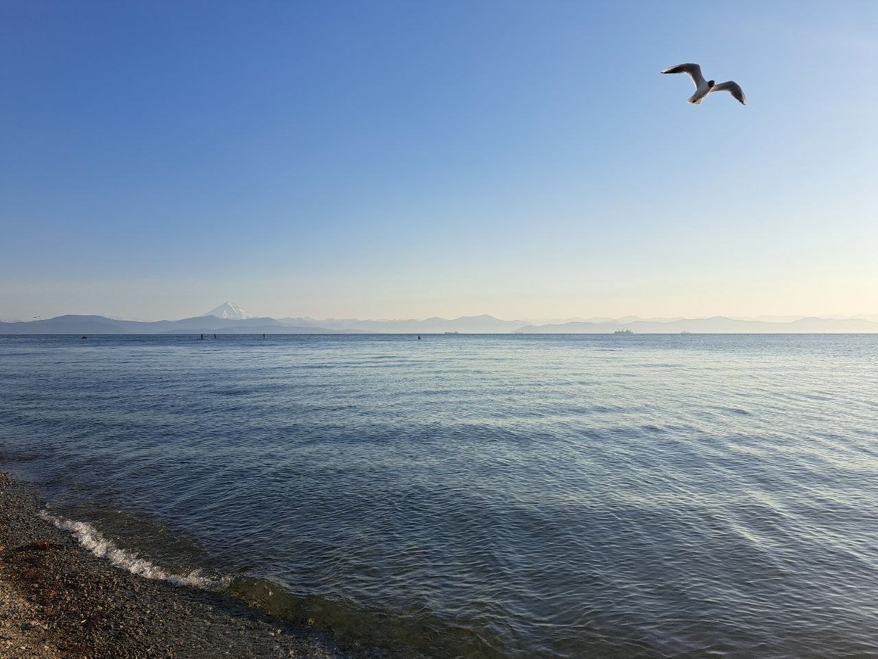 Камчатская весна ИА KamchatkaMedia