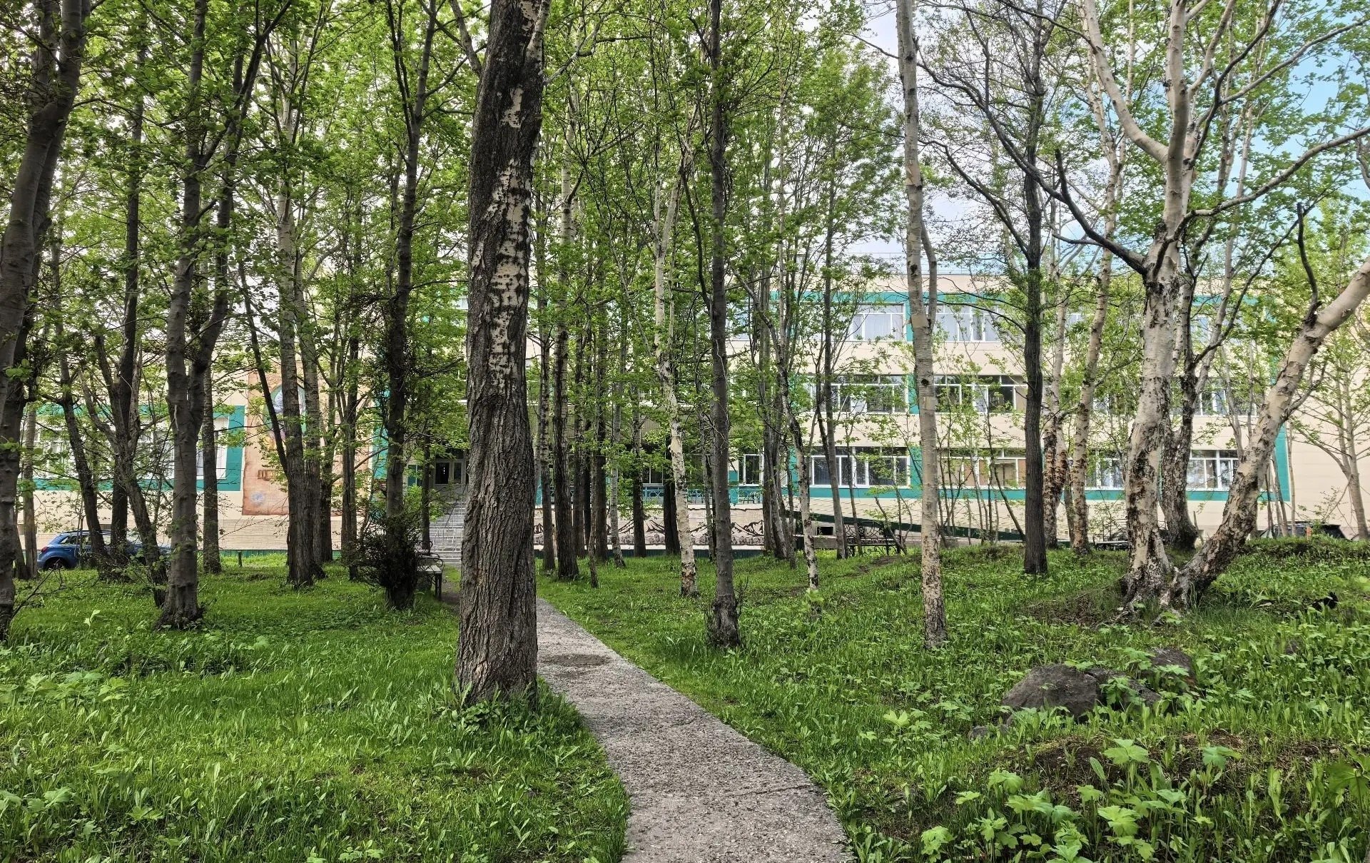 Сквер у краевой библиотеки Пресс-служба ПКГО