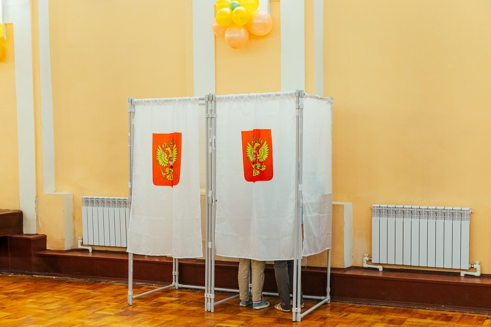 выборы, голосование Мария Смитюк, ИА PrimaMedia.ru