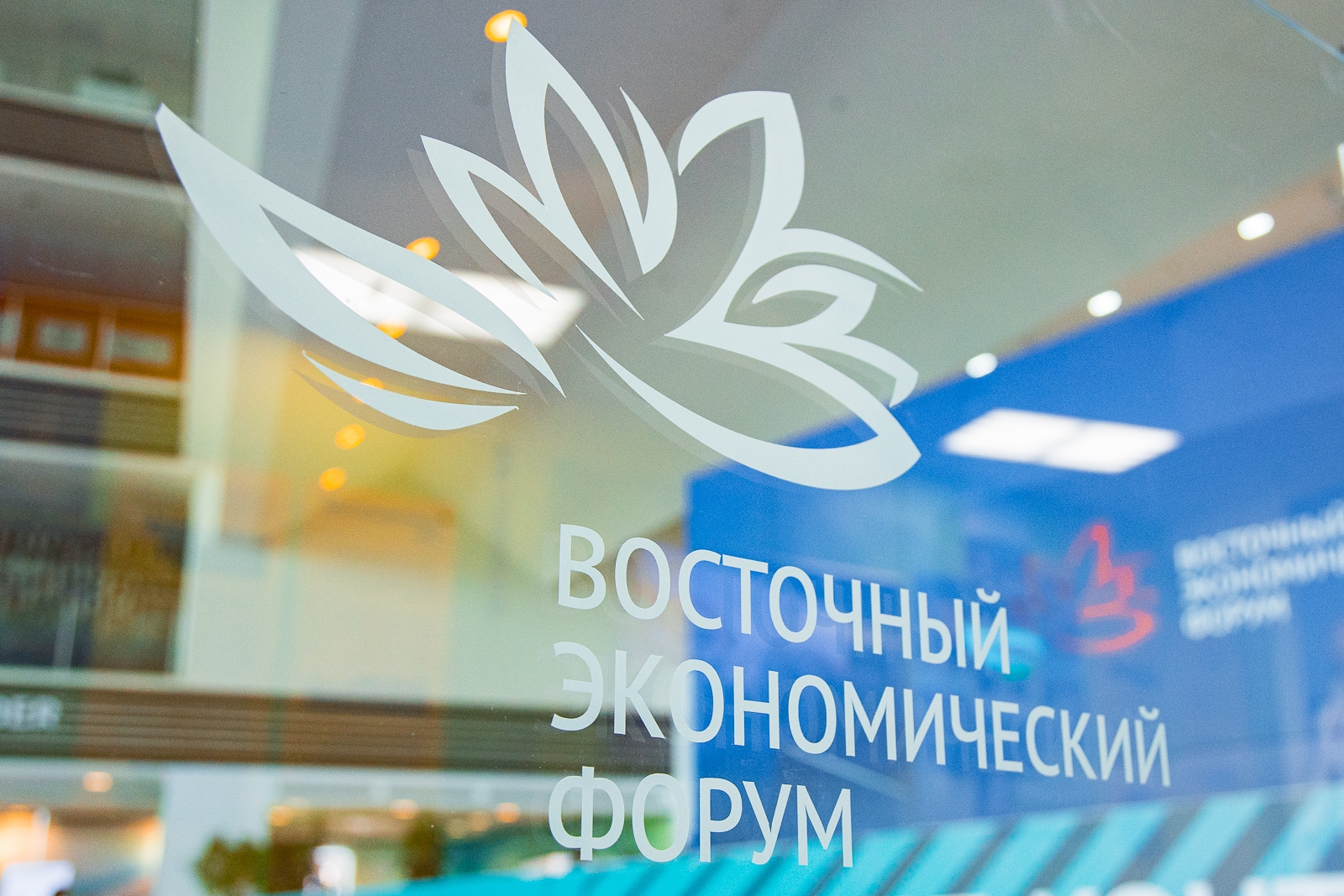 ВЭФ Илья Аверьянов, ИА PrimaMedia.ru