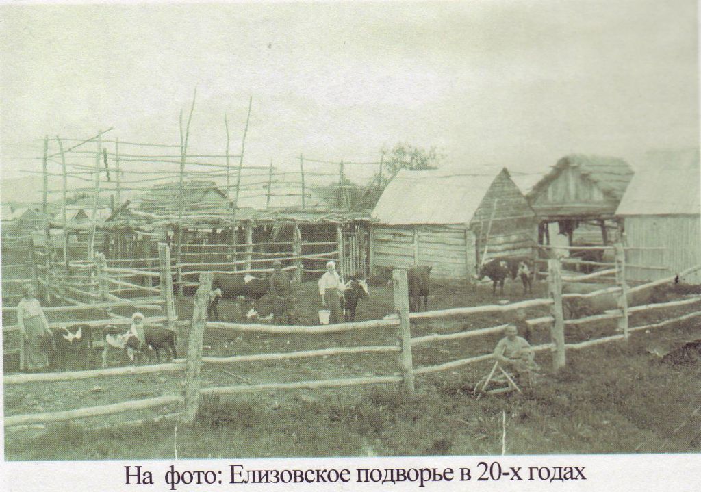 Фото дня