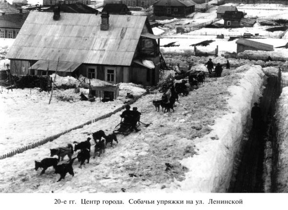 Фото дня