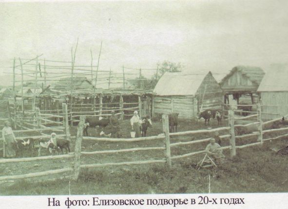 Фото дня